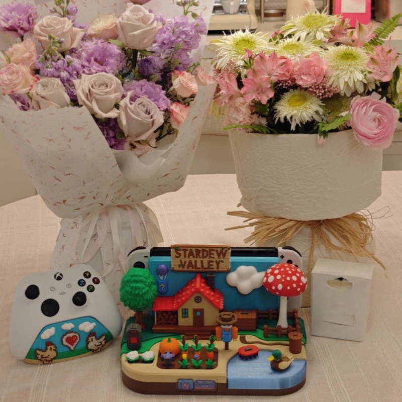 Switch Dock Stardew Valley Far - đánh giá và giá Gaming Console Holder